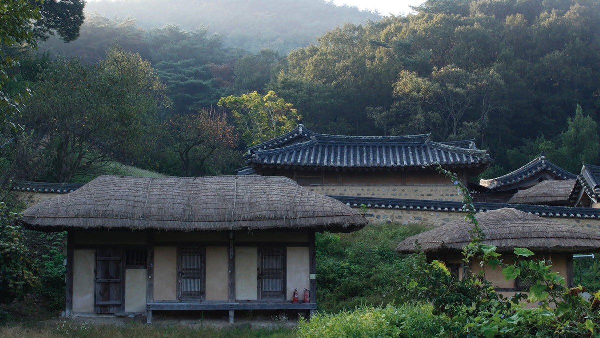 YANGDONG, UNE AUTRE CORÉE