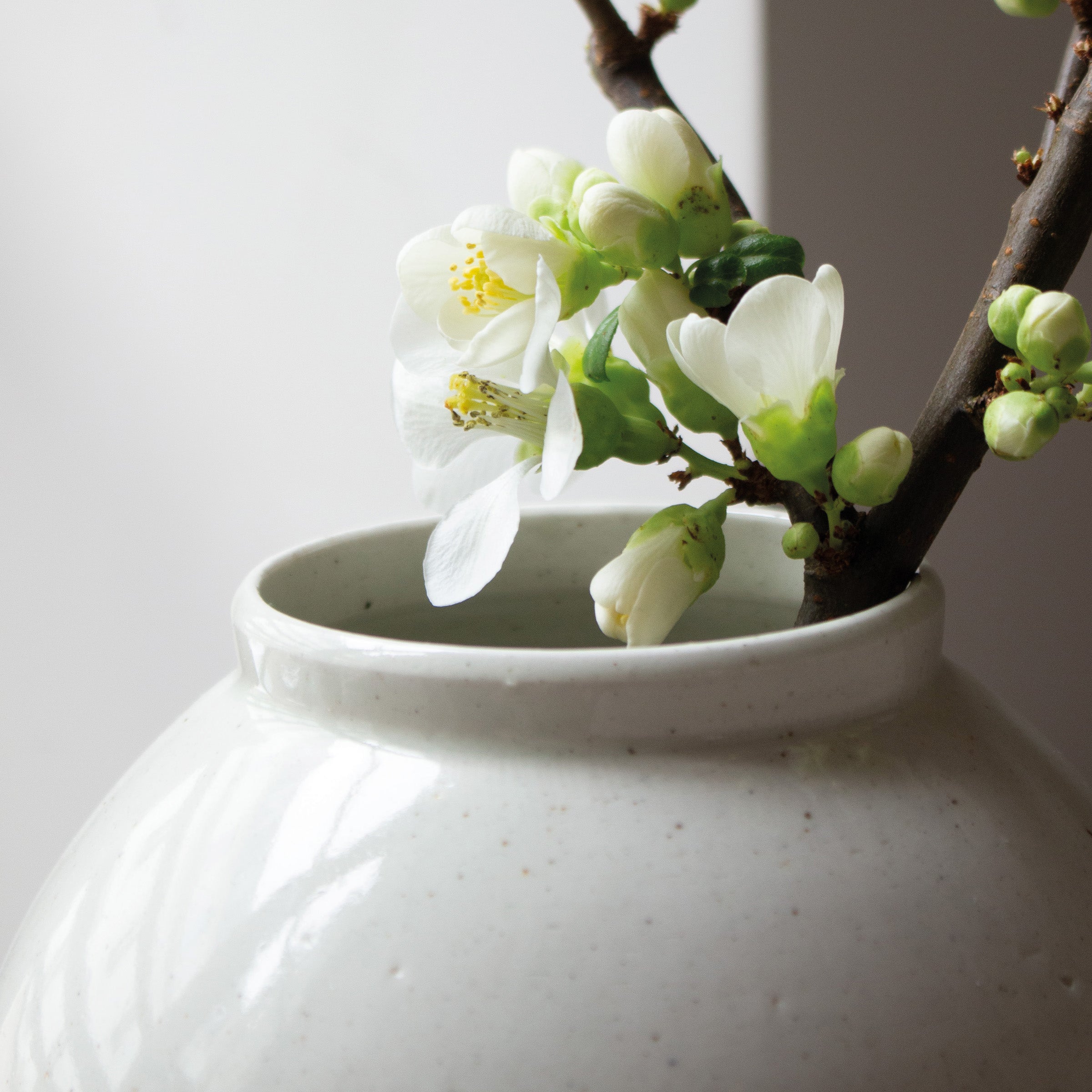 Korea Moon Jar, White Porcelain Vase