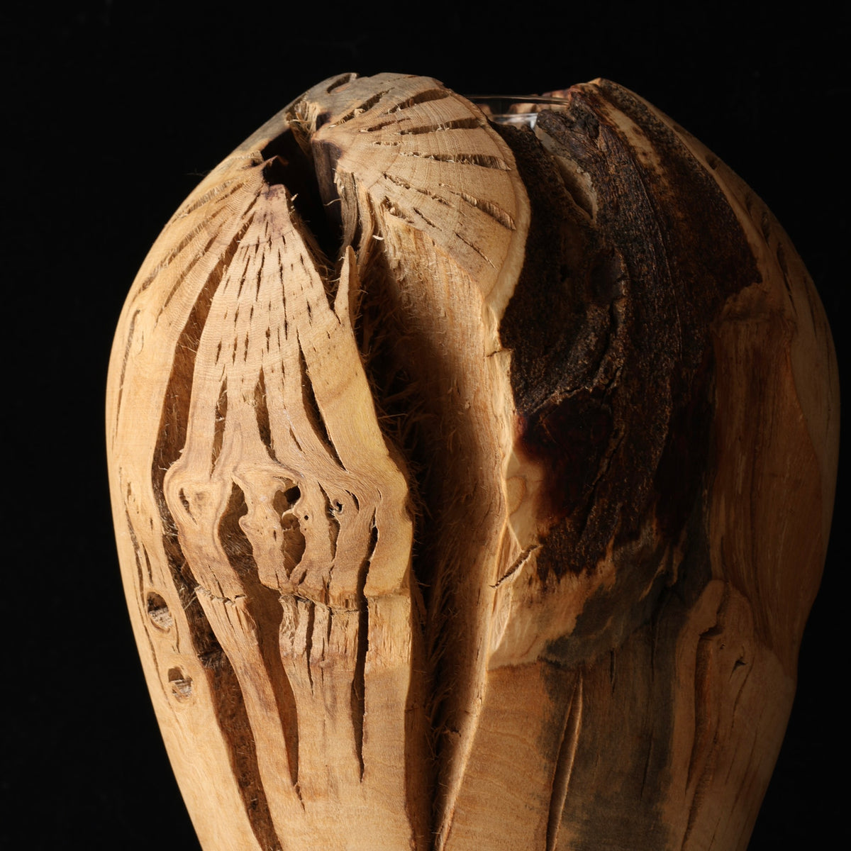 Sculptural vase in ichijiku (Japanese fig wood) by Masahito Ikeda