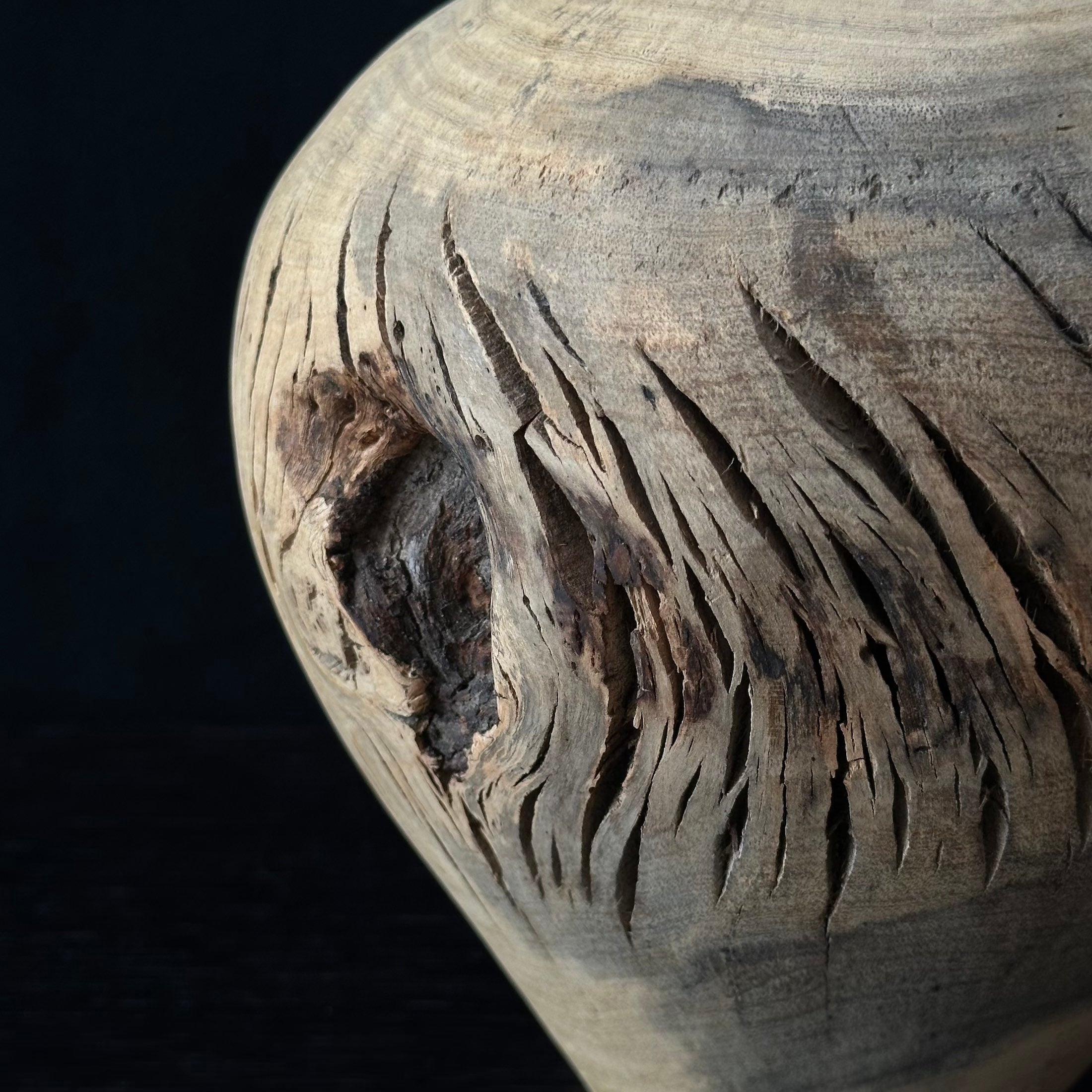 Vase en ichijiku (bois de figuier japonais) de Masahito Ikeda