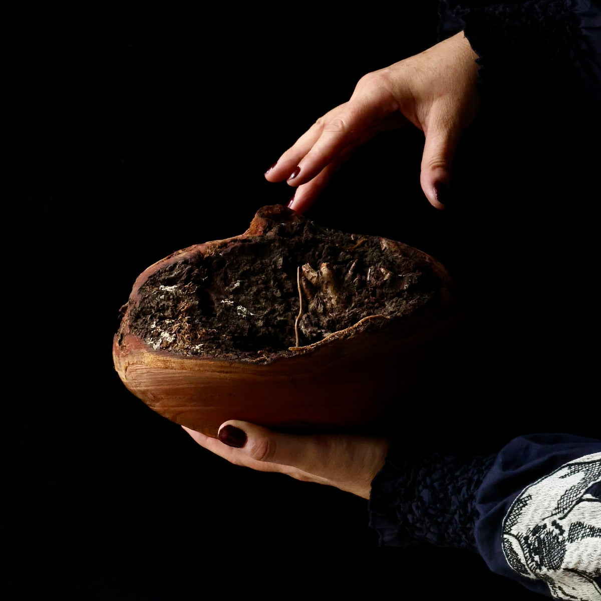 Sakura (Japanese cherry wood) sculptural vase by Masahito Ikeda
