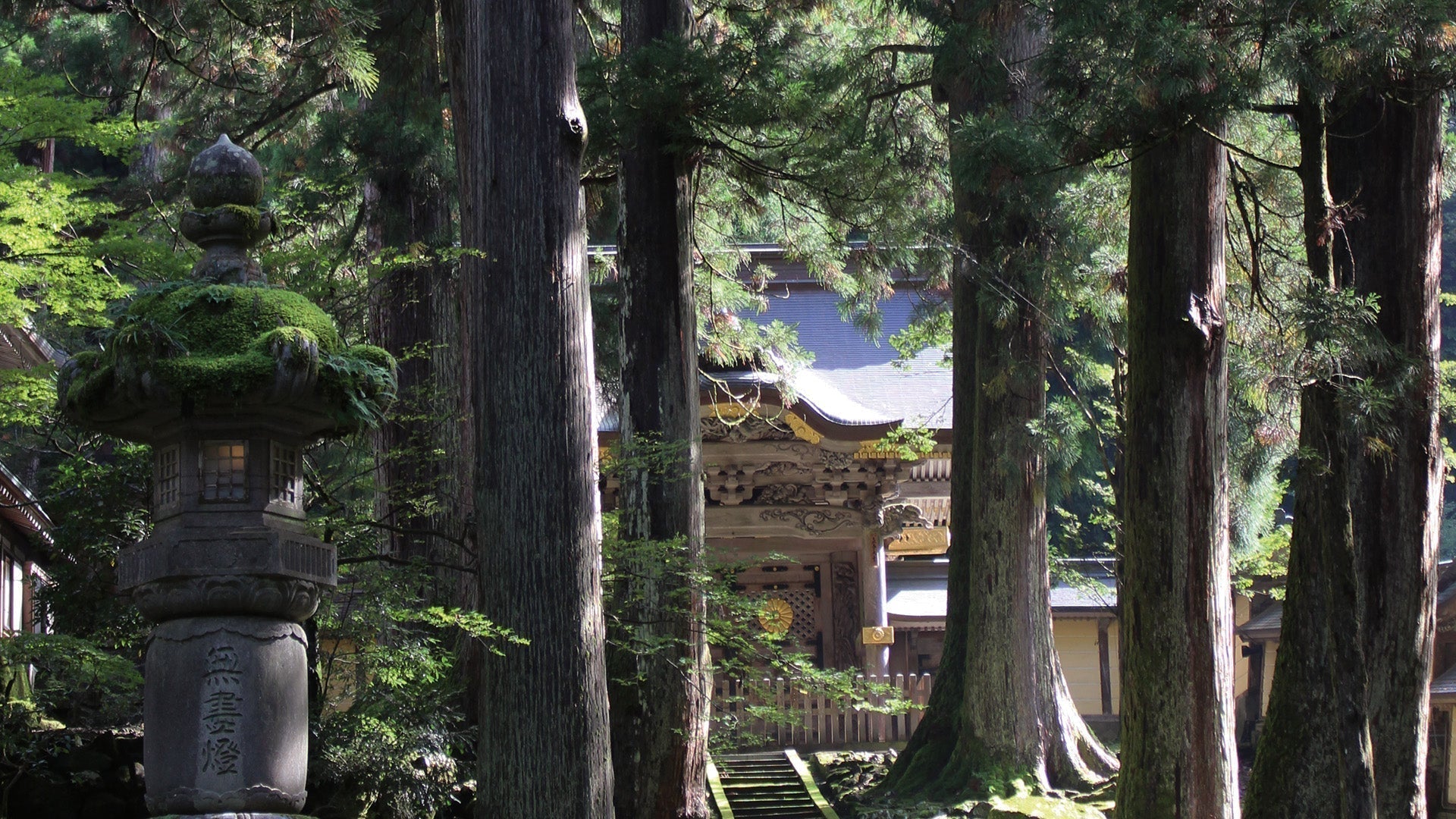 Le Japon, pays de bois: forêts, spiritualité et architecture