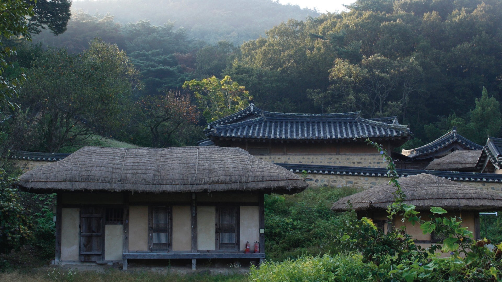 YANGDONG, UNE AUTRE CORÉE