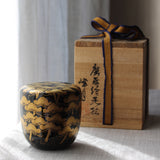 Natsume (boîte à thé) de l'ère Meiji en laque urushi japonaise et maki-e, motif Matsu (pin)