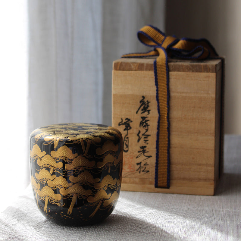 Natsume (boîte à thé) de l'ère Meiji en laque urushi japonaise et maki-e, motif Matsu (pin)