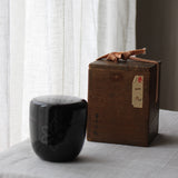 Natsume (boîte à thé) laque urushi japonaise et maki-e argent, motif Yuki (neige)