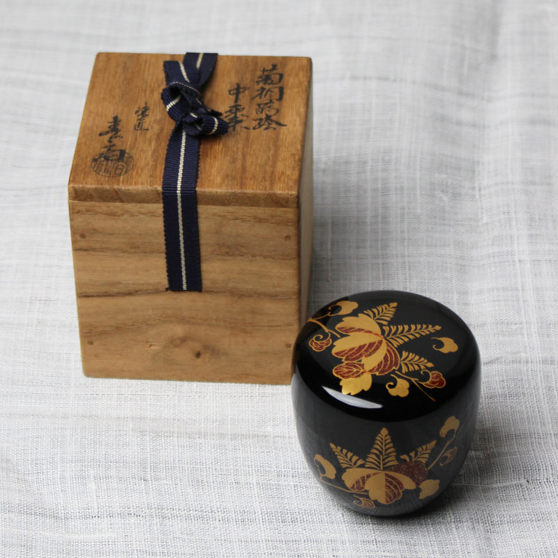 Natsume (boîte à thé) en laque urushi japonaise et maki-e, motif Kiri (paulownia) et Kiku (chrysanthème)