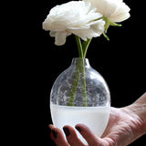 Vase japonais oval en verre