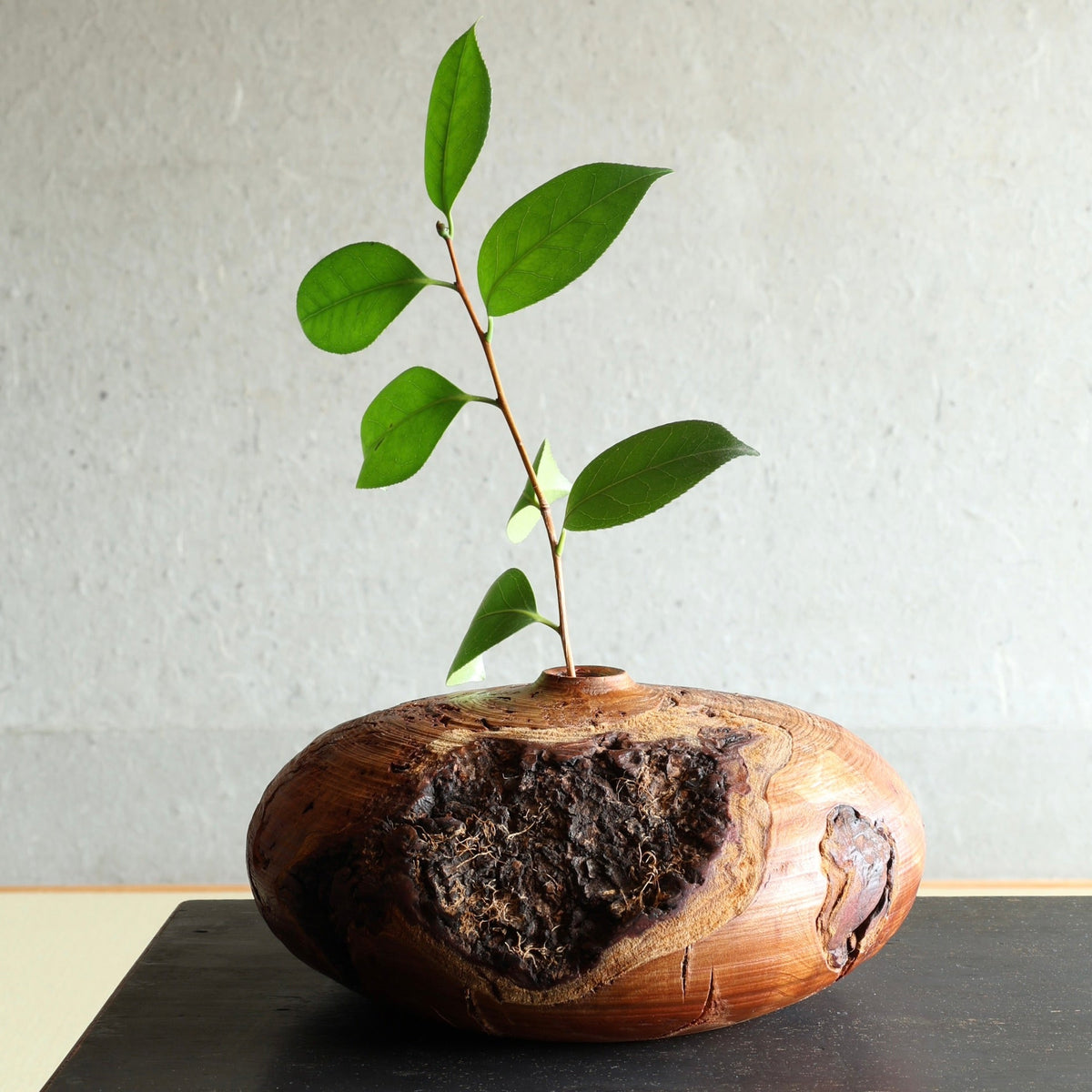 Sakura (Japanese cherry wood) sculptural vase by Masahito Ikeda