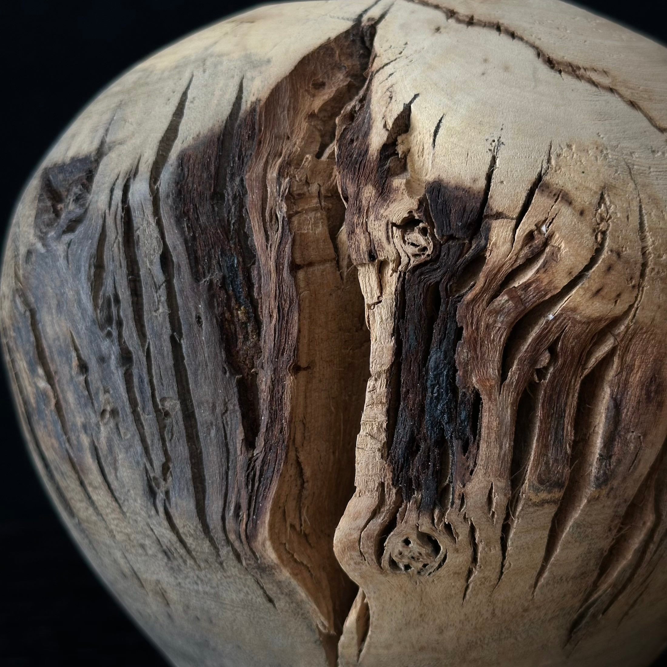 Vase en ichijiku (bois de figuier japonais) de Masahito Ikeda