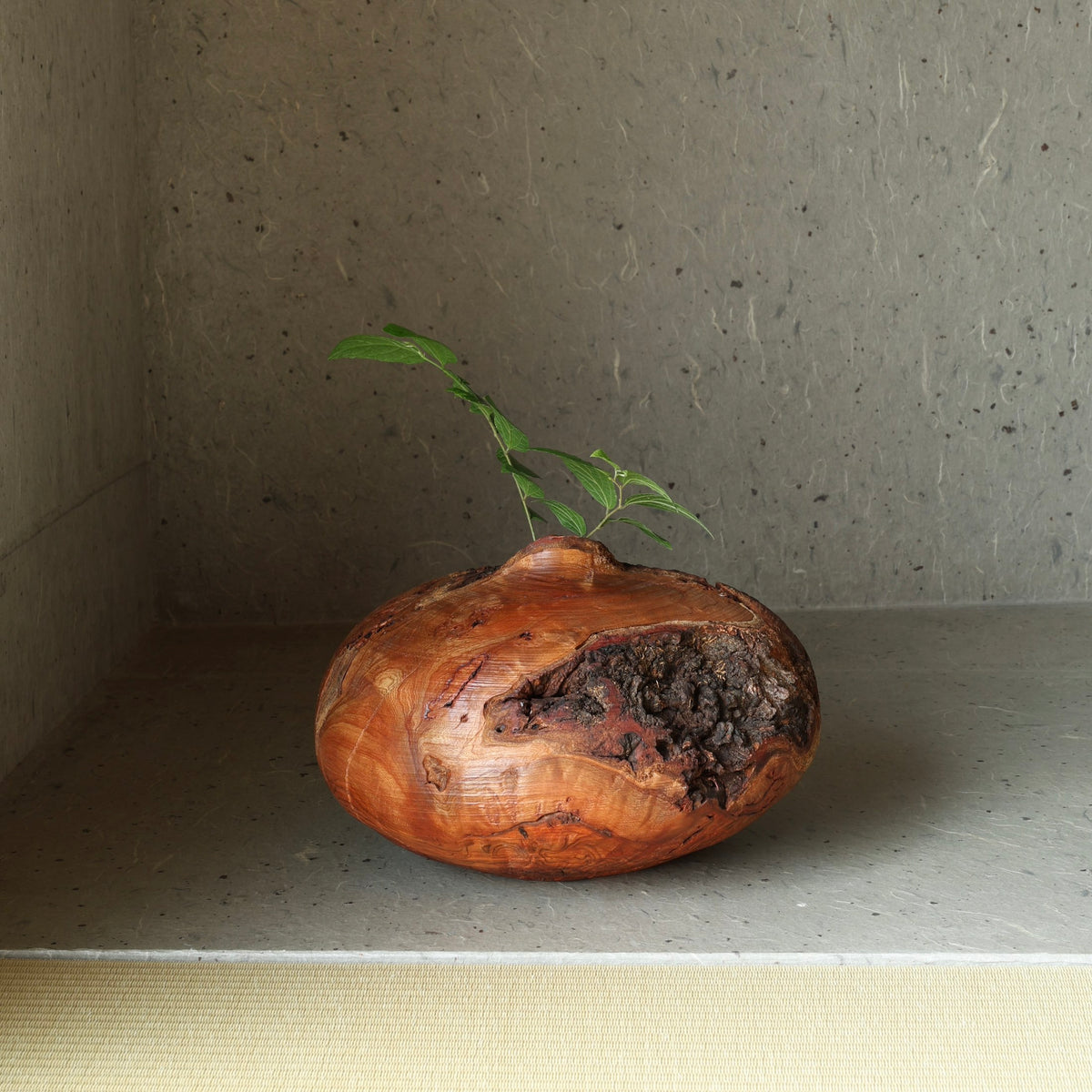Sakura (Japanese cherry wood) sculptural vase by Masahito Ikeda