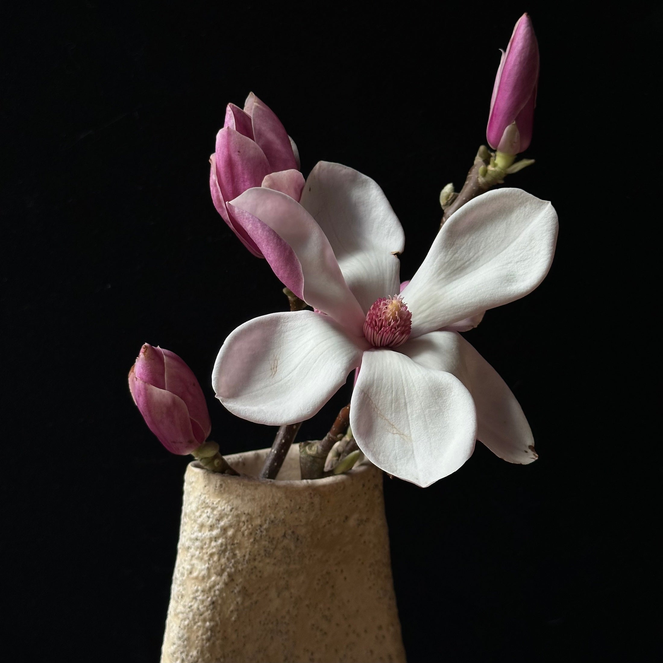 Vase en céramique série shiroi hensubō de Yagi Kazuo