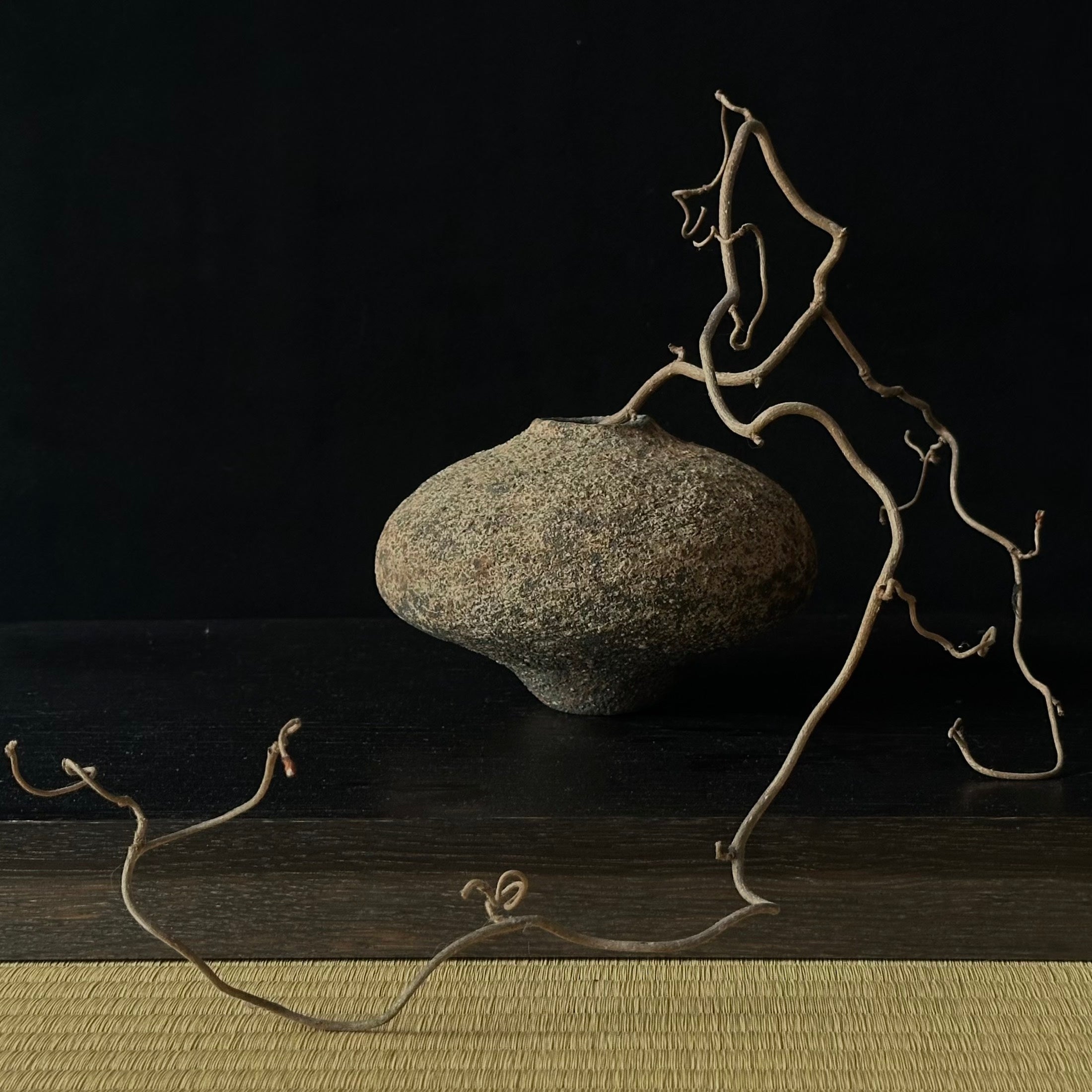Vase “Soil Seeds” en grès brut de Hiroshi Aoki