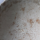 Wataru Myoshu Organic Ceramic Bowl